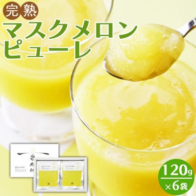 完熟マスクメロンピューレ tn-0007