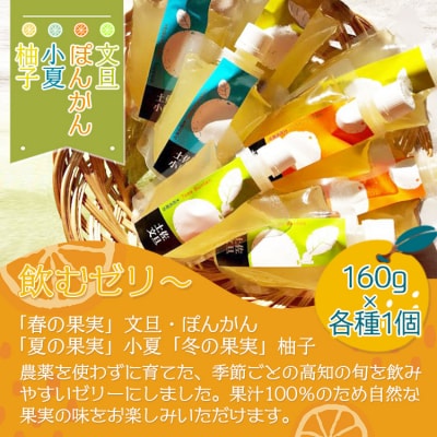 土佐の果実・飲むゼリー(4個セット) ts-0006