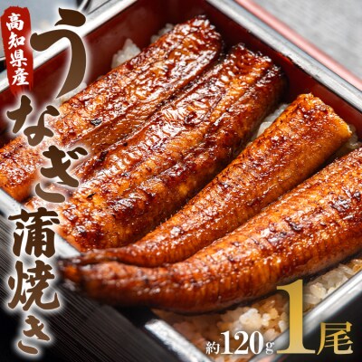 【7日程度で発送】うなぎ蒲焼き120g 1尾(無頭) un-0013
