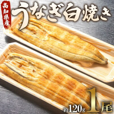 【7日程度で発送】うなぎ白焼き120g 1尾(無頭) un-0016