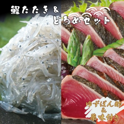 土佐料理司 鰹たたき・どろめセット tr-0015