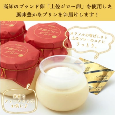 土佐の贅沢プリン5個 kn-0035