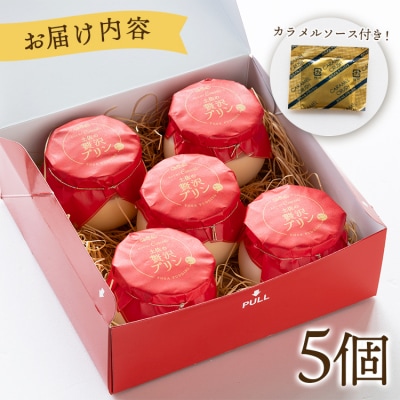 土佐の贅沢プリン5個 kn-0035