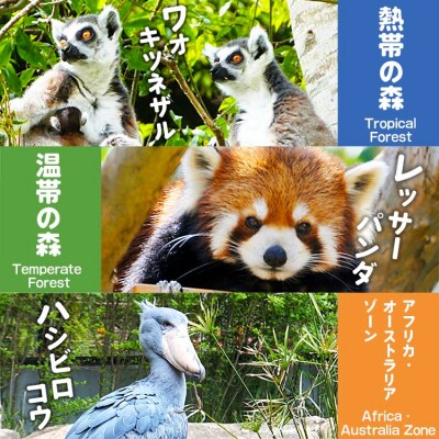 のいち動物公園の年間入園券引換券 ni-0003