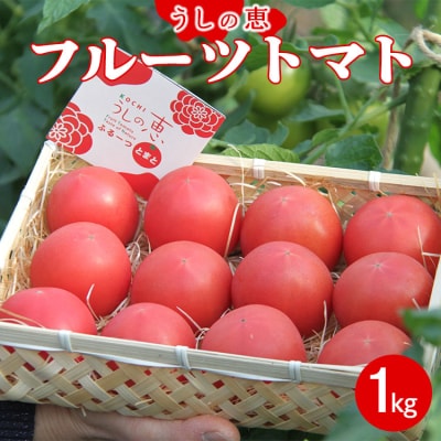 【先行受付】うしの恵 フルーツトマト籠入り1kg mj-0023