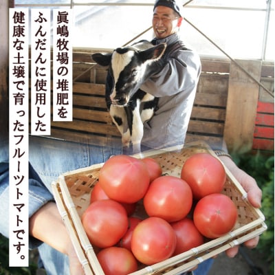 【先行受付】うしの恵 フルーツトマト籠入り1kg mj-0023