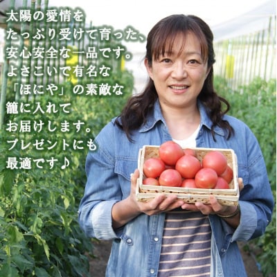 【先行受付】うしの恵 フルーツトマト籠入り1kg mj-0023