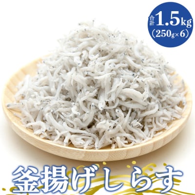 土佐名産 釜揚げしらす 合計1.5kg(約250g×6) tk-0013