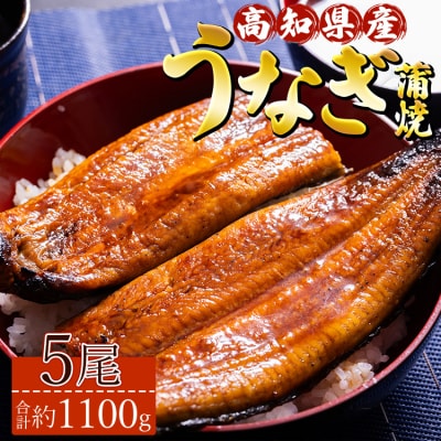 高知県産養殖うなぎ蒲焼 5尾(合計約1100g) ss-0036