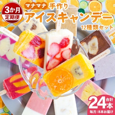 【3回定期便】手作りアイスキャンデー 計24本 12種類セット 詰め合わせ アイス Wys-0014