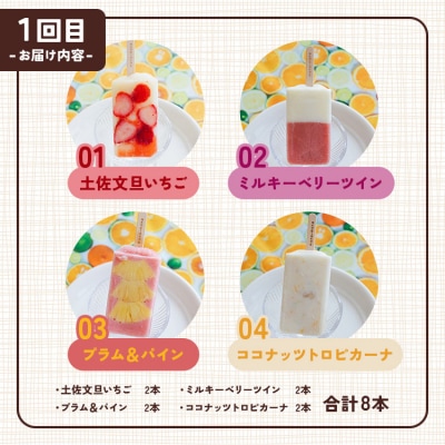 【3回定期便】手作りアイスキャンデー 計24本 12種類セット 詰め合わせ アイス Wys-0014