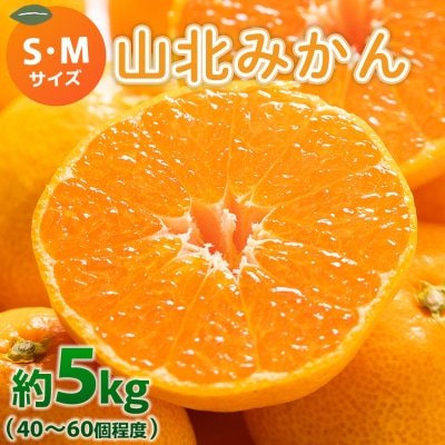 みかん小玉大玉混合5kg 5キロ 温州みかん 山北 yk-0062