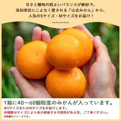 【今季発送は1月12日決済分まで】山北みかん(S・Mサイズ) 約5kg yk-0062