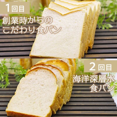 【5回定期便】食パンの定期便 Wit-0071