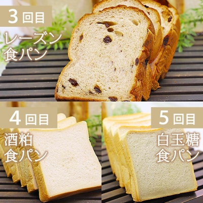【5回定期便】食パンの定期便 Wit-0071
