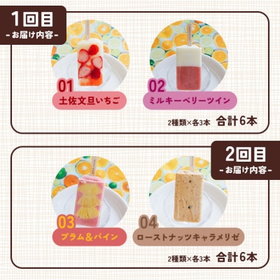 【6か月定期便】手作りアイスキャンデー 12種類セット 合計36本 Wys-0023
