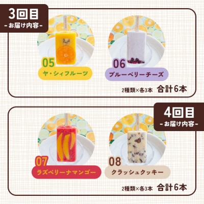 【6か月定期便】手作りアイスキャンデー 12種類セット 合計36本 Wys-0023