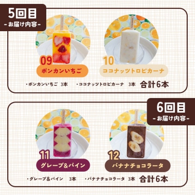 【6か月定期便】手作りアイスキャンデー 12種類セット 合計36本 Wys-0023