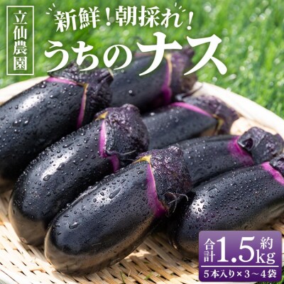 立仙農園 うちのナス 合計1.5kg rs-0001