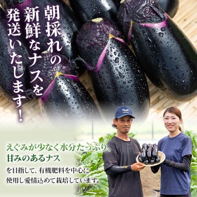 立仙農園 うちのナス 合計1.5kg rs-0001