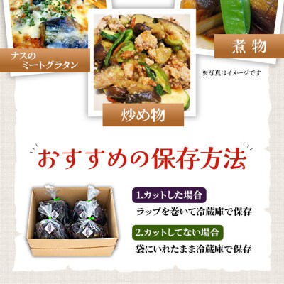 立仙農園 うちのナス 合計1.5kg rs-0001