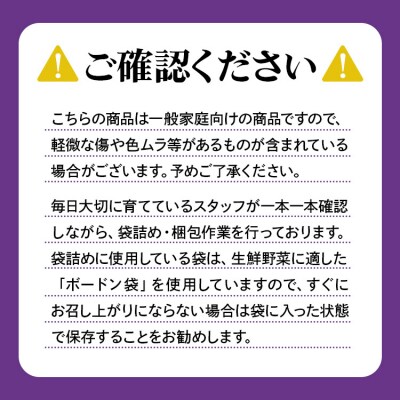 立仙農園 うちのナス 合計1.5kg rs-0001