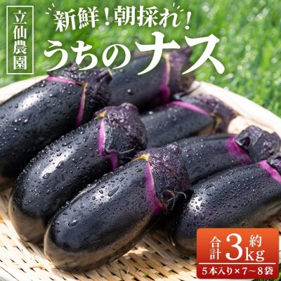 立仙農園 うちのナス 合計3kg rs-0002