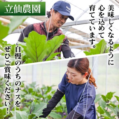 立仙農園 うちのナス 合計3kg rs-0002