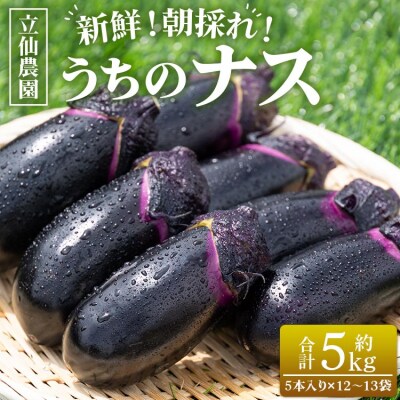 立仙農園 うちのナス 合計5kg rs-0003