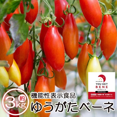 【先行受付】機能性表示食品 ミニトマト ゆうがたベーネ 3kg  is-0015