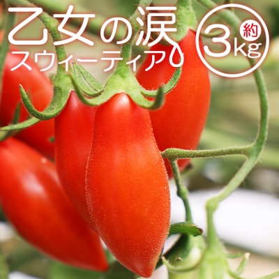 【先行受付】乙女の涙 スウィーティア ミニトマト 3kg is-0018