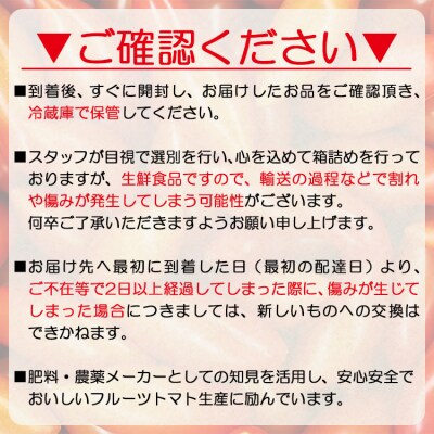 【先行受付】乙女の涙 スウィーティア ミニトマト 2kg is-0012
