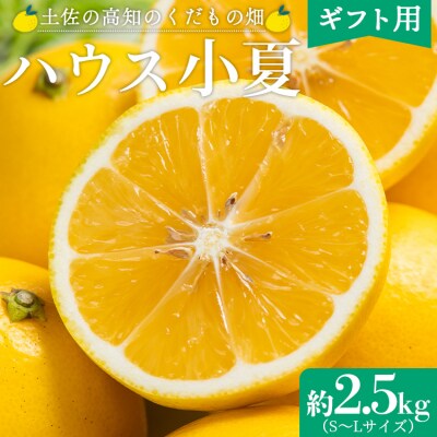 【5月14日入金分まで今季発送】ハウス小夏(日向夏)約2.5kg(ギフト用) 高知県 kd-0031