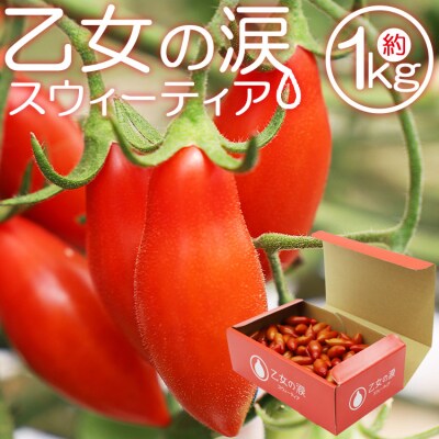 【先行受付】乙女の涙 スウィーティア ミニトマト 1kg is-0016