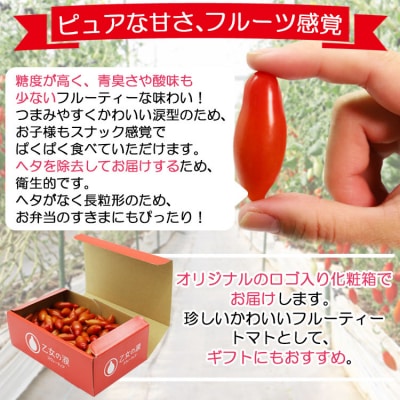 【先行受付】乙女の涙 スウィーティア ミニトマト 1kg is-0016
