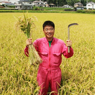 【よさこい舞】〈土佐の米〉コシヒカリ 5kg 高知県産 kr-0071