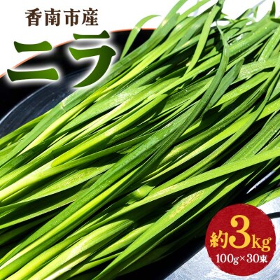 生産量日本一香南市のニラ 3kg on-0012