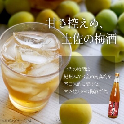 女性に人気 土佐の梅酒 500ml×1本&おり酒 720ml×1本 gs-0161