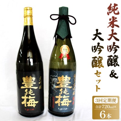 3回定期便 純米大吟醸&大吟醸セット 720ml各1本(合計6本)  Wgs-0142