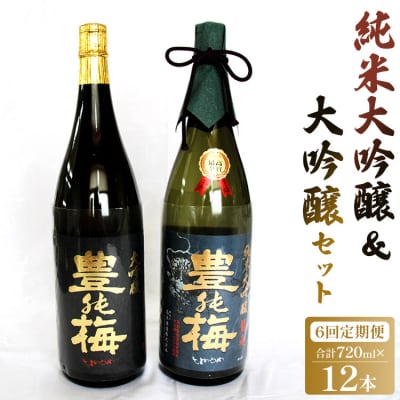 6回定期便 純米大吟醸&大吟醸セット 720ml各1本(合計12本) Wgs-0143