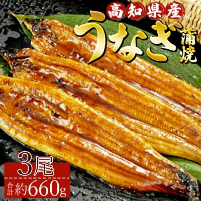 高知県産養殖うなぎ蒲焼き 3尾(合計約660g) ss-0035