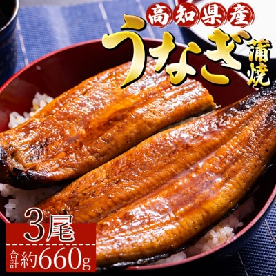 高知県産養殖うなぎ蒲焼き 3尾(合計約660g) ss-0035