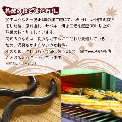 高知県産養殖うなぎ蒲焼き 3尾(合計約660g) ss-0035