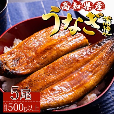 高知県産養殖うなぎ蒲焼 5尾(合計500g以上) ss-0040