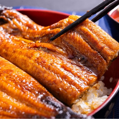 高知県産養殖うなぎ蒲焼 5尾(合計500g以上) ss-0040