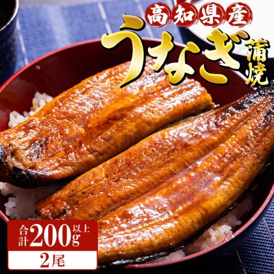 高知県産養殖うなぎ蒲焼 100～120g 2尾セット(合計200g以上)ss-0044