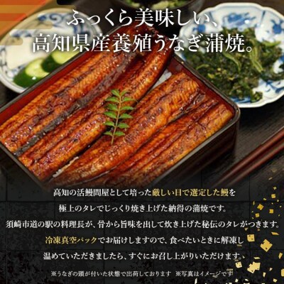 高知県産養殖うなぎ蒲焼 100～120g 2尾セット(合計200g以上)ss-0044