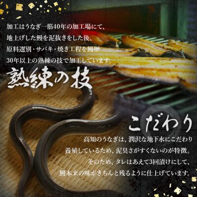 高知県産養殖うなぎ蒲焼 100～120g 2尾セット(合計200g以上)ss-0044