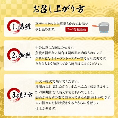 高知県産養殖うなぎ蒲焼 100～120g 2尾セット(合計200g以上)ss-0044