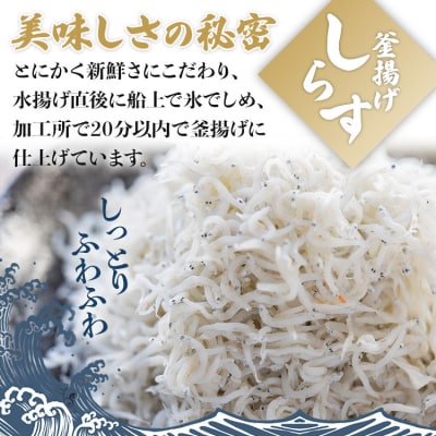 釜揚げしらす「銀凪」350g×3袋(合計1kg以上) ym-0007